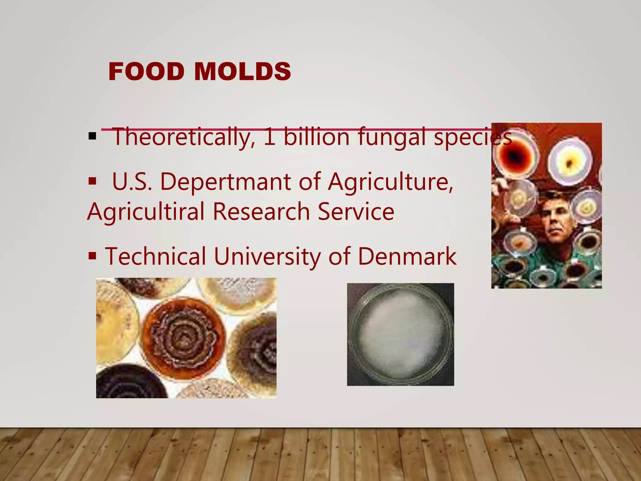 FOOD MOLDS
 Theoretically, 1 billion fungal species
 U.S. Depertmant of Agriculture,
Agricultiral Research Service
 Technical University of Denmark
 