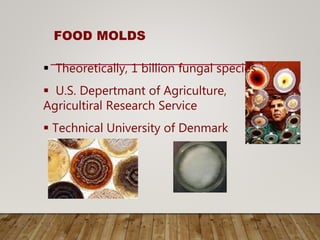 FOOD MOLDS
 Theoretically, 1 billion fungal species
 U.S. Depertmant of Agriculture,
Agricultiral Research Service
 Technical University of Denmark
 