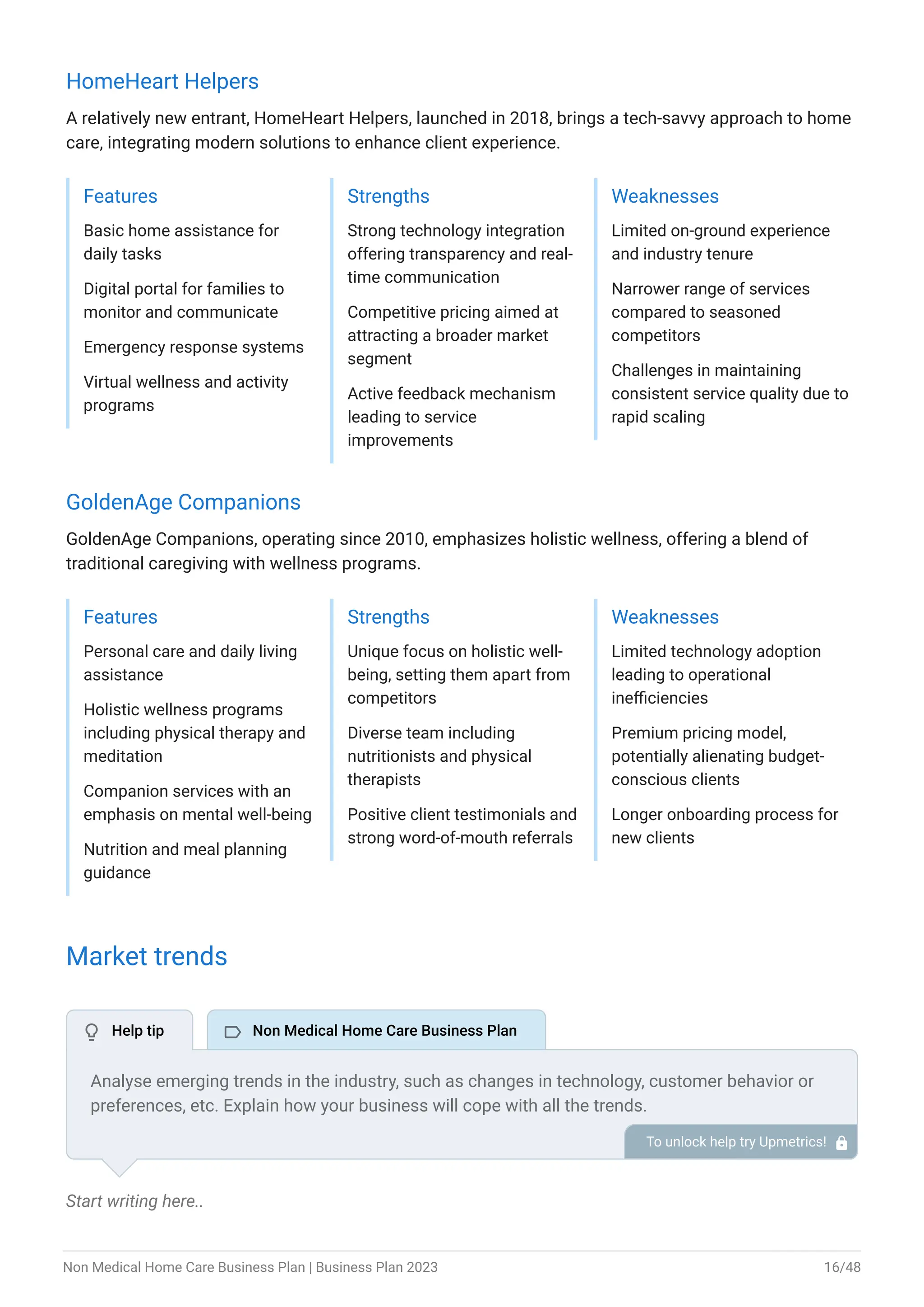 Image 5 for Non Medical Home Care Business Plan Template