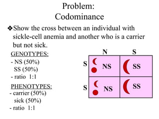 Problem:
Codominance
❖Show the cross between an individual with
sickle-cell anemia and another who is a carrier
but not sick.
N S
S
S
NS
NS
SS
SS
- NS (50%)
SS (50%)
- ratio 1:1
- carrier (50%)
sick (50%)
- ratio 1:1
GENOTYPES:
PHENOTYPES:
 