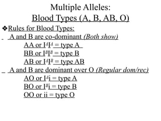 Multiple Alleles:
Blood Types (A, B, AB, O)
❖Rules for Blood Types:
A and B are co-dominant (Both show)
AA or IA
IA
= type A
BB or IB
IB
= type B
AB or IA
IB
= type AB
A and B are dominant over O (Regular dom/rec)
AO or IA
i = type A
BO or IB
i = type B
OO or ii = type O
 