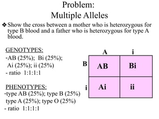 Problem:
Multiple Alleles
❖Show the cross between a mother who is heterozygous for
type B blood and a father who is heterozygous for type A
blood.
-AB (25%); Bi (25%);
Ai (25%); ii (25%)
- ratio 1:1:1:1
-type AB (25%); type B (25%)
type A (25%); type O (25%)
- ratio 1:1:1:1
GENOTYPES:
PHENOTYPES:
A i
B
i
AB
ii
Bi
Ai
 