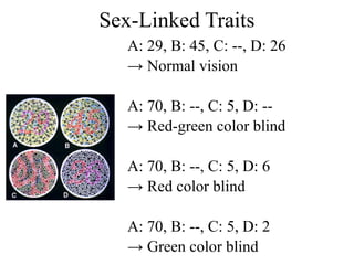 Sex-Linked Traits
A: 29, B: 45, C: --, D: 26
→ Normal vision
A: 70, B: --, C: 5, D: --
→ Red-green color blind
A: 70, B: --, C: 5, D: 6
→ Red color blind
A: 70, B: --, C: 5, D: 2
→ Green color blind
 