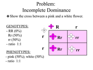 Problem:
Incomplete Dominance
❖Show the cross between a pink and a white flower.
- RR (0%)
Rr (50%)
rr (50%)
- ratio 1:1
- pink (50%); white (50%)
- ratio 1:1
R r
r
r
rr
Rr
rr
Rr
GENOTYPES:
PHENOTYPES:
 