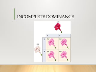 Non Mendellian Patterns of Inheritance.pptx