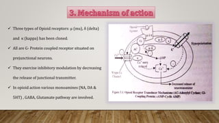  Three types of Opioid receptors: μ (mu), δ (delta)
and κ (kappa) has been cloned.
 All are G- Protein coupled receptor situated on
prejunctional neurons.
 They exercise inhibitory modulation by decreasing
the release of junctional transmitter.
 In opioid action various monoamines (NA, DA &
5HT) , GABA, Glutamate pathway are involved.
 