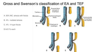 Tef Classification Non neoplastic disorders of esophagus | PPTX