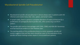 Mycobacterial Spindle Cell Pseudotumor
 Mycobacterial spindle cell pseudotumor is almost always seen in patients with HIV
infection and involve many sites- skin, spleen, and lymph nodes.
 In lymph nodes, there is partial or complete alteration of nodal architecture by a
proliferation of cytologically bland spindle cells, often producing a storiform
pattern.
 The spindle cells mark as macrophages with CD45, CD68, and HDA-DR. Numerous
acid-fast bacilli are evident on Ziehl-Neelsen stain.
 The startling ability of this proliferative lesion to mimic neoplastic spindle cell
tumors suggests that acid-fast stains should be a part of the evaluation of any
spindle cell lesion lacking nuclear atypia in immunodeficient patients
 