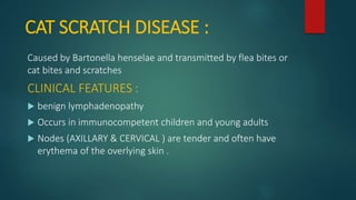 CAT SCRATCH DISEASE :
Caused by Bartonella henselae and transmitted by flea bites or
cat bites and scratches
CLINICAL FEATURES :
 benign lymphadenopathy
 Occurs in immunocompetent children and young adults
 Nodes (AXILLARY & CERVICAL ) are tender and often have
erythema of the overlying skin .
 