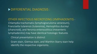DIFFERENTIAL DIAGNOSIS :
OTHER INFECTIOUS NECROTIZING LYMPHADENITIS -
Chlamydia trachomatis (lymphogranuloma venereum),
Francisella tularensis (tularemia), Hemophilus ducreyi
(chancroid), and Yersinia enterocolitica (mesenteric
lymphadenitis) may have identical histologic features
- Clinical presentation is distinct
- Gram stain, Giemsa stain, and Warthin-Starry stain help
identify the respective organisms.
 