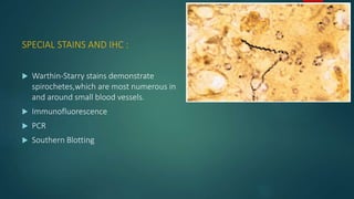 SPECIAL STAINS AND IHC :
 Warthin-Starry stains demonstrate
spirochetes,which are most numerous in
and around small blood vessels.
 Immunofluorescence
 PCR
 Southern Blotting
 