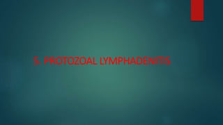 5. PROTOZOAL LYMPHADENITIS
 