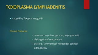 TOXOPLASMA LYMPHADENITIS
 caused by Toxoplasma gondii
Clinical Features:
- Immunocompetent persons, asymptomatic
- lifelong risk of reactivation
- bilateral, symmetrical, nontender cervical
adenopathy
 