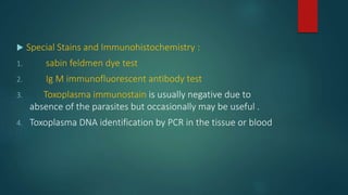  Special Stains and Immunohistochemistry :
1. sabin feldmen dye test
2. Ig M immunofluorescent antibody test
3. Toxoplasma immunostain is usually negative due to
absence of the parasites but occasionally may be useful .
4. Toxoplasma DNA identification by PCR in the tissue or blood
 