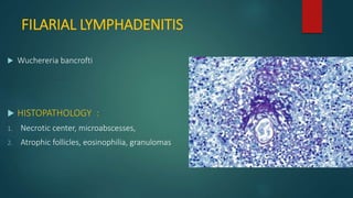 FILARIAL LYMPHADENITIS
 Wuchereria bancrofti
 HISTOPATHOLOGY :
1. Necrotic center, microabscesses,
2. Atrophic follicles, eosinophilia, granulomas
 