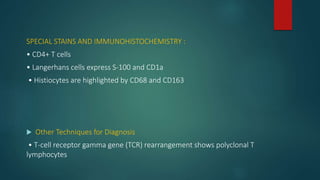 SPECIAL STAINS AND IMMUNOHISTOCHEMISTRY :
• CD4+ T cells
• Langerhans cells express S-100 and CD1a
• Histiocytes are highlighted by CD68 and CD163
 Other Techniques for Diagnosis
• T-cell receptor gamma gene (TCR) rearrangement shows polyclonal T
lymphocytes
 