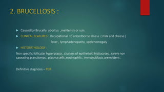 2. BRUCELLOSIS :
 Caused by Brucella abortus ,melitensis or suis
 CLINICAL FEATURES : Occupational to a foodborne illness ( milk and cheese )
fever , lymphadenopathy ,spelenomegaly
 HISTOPATHOLOGY :
Non specific follicular hyperplasia , clusters of epithelioid histiocytes , rarely non
caseating granulomas , plasma cells ,eosinophils , immunoblasts are evident .
Definitive diagnosis – PCR
 