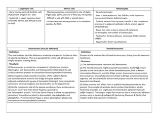 Langerhans cells                                   Merkel cells                                                 Melanocytes
- Bone marrow derived dendritic cells     - Mechanoreceptors concentrated in skin of digits,       - Neural crest origin.
that present antigens to T cells.         finger pads, palms, dorsum of feet, lips, hard palate.   - Seen in basal epidermis, hair follicles, most squamous
- Scattered in upper squamous layer       - Difficult to see with H&E or special stains.           mucous membranes, leptomeninges.
and in the dermis, but difficult to see   - contain neurosecretory granules in its cytoplasm       - Produce melanin from tyrosine, transfer it (via cytoplasmic
on H&E.                                   (positive for NSE).                                      processes) to adjacent epithelial cells to protect against
                                                                                                   ultraviolet rays.
                                                                                                   - Racial skin color is due to amount of melanin in
                                                                                                   keratinocytes, not number of melanocytes.
                                                                                                   - Positive for: Fontana-Masson, tyrosinase, S100, MelanA,
                                                                                                   HMB45.
                                                                                                   - Negative for: GFAP, neurofilament.


                       Desmosomes (macula adherens)                                                             Hemidesmosomes
- Definition:                                                                    - Definition:
They are localized spot-like adhesions randomly arranged on the lateral sides    Situated at the undersurface of basal keratinocytes, linking them to basement
of plasma membranes. They are specialized for cell-to-cell adhesions and         membrane.
helpful to resist shearing forces.                                               - Structure:
- Structure:                                                                     (1) The hemidesmosome represent half desmosome.
(1) Desmosomes are molecular complexes of cell adhesion proteins                 (2) The hemidesmosome might consist of two proteins: the BPAg1 protein
(desmoglein and desmocollin), and linking proteins that attach the cell          (located at the intracellular side of the hemidesmosome, bind to keratin
surface adhesion proteins to intracellular keratin cytoskeletal filaments.       intermediate filaments), and the BPAg2 protein (transmembranous protein
(2) Desmoglein and desmocollin (members of the cadherin family)                  that contains an intracellular domain bonded to BPAg1, a transmembranous
are transmembrane proteins that bridge the space between                         segment, and an extracellular domain that projects into the lamina lucida of
adjacent epithelial cells by way of homophilic binding of their extracellular    basement membrane).
domains to other desmogleins and desmocollins on the adjacent cell.              (4) Other proteins that either form or stabilize hemidesmosomes are also
(3) On the cytoplasmic side of the plasma membrane, there are two dense          present. For example intracellular plectin protein (that binds to keratin
structures (outer and inner dense Plaques), spanned by                           filaments) is bonded to a single-pass transmembrane adhesion molecule
the Desmoplakin protein. The Outer Dense Plaque is where the cytoplasmic         (α6β4 integrin). The integrin might then attach to one of many multi-adhesive
domains of the cadherins attach to desmoplakin (via plakoglobin and              proteins such as laminin & collageb VII (anchoring filaments & fibrils), that
plakophillin). The Inner Dense Plaque is where desmoplakin attaches to           resident within the basement membrane.
intracellular keratin cytoskeletal filaments.
 