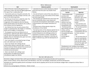 Skin Adnexae
                         Hair                                                Sebaceous glands                                           Sweat glands
- Most of the skin is haired although the hair in          - Lobulated structures which develop as a lateral         - Sweat glands are either eccrine (regulate body
most areas is short, fine and only lightly pigmented.      protrusion from the outer root sheath of hair             temperature), apocrine or mixed.
This type of hair is called vellus hair.                   follicles.                                                         Eccrine                   Apocrine
- Truly hairless parts are: the palms and soles, the       - Can also be found in some of the areas where no          - Tubular glands with     - Concentrated in
distal phalanges and sides of fingers and toes, and        hair is present (e.g. lips, oral surfaces of the cheeks    secretory and             axilla, groin and
parts of the external genitalia.                           and external genitalia).                                   excretory portions.       perineum; also in face,
- The free part of each hair is called the shaft. The      - The secretory part (alveoli) have outer basal cells      - Secretory coil is in    external auditory
root of each hair is anchored in a tubular                 that are mitotically active, move inward and               deep dermis or            meatus, eyelid and
invagination of the epidermis (the hair follicle),         accumulate intracytoplasmic lipid droplets, causing        subcutis, has inner       areola.
which extends down into the dermis and, usually, a         multivacuolation and multiple indentations of              secretory and outer       - Have secretory and
short distance into the hypodermis.                        nuclei                                                     myoepithelial cells.      excretory components
                                                           - Excretory ducts of these glands empty into               - Excretory portion       - The secretory portion
- Hair follicles form hair via cyclic process of (a)
                                                           infundibulum of hair follicle.                             open directly onto skin   has an outer
anagen or growing phase, (b) catagen or involuting
phase and (c) telogen or resting phase.                    - The lipid secretion of the sebaceous glands has no       surface, and has          discontinuous layer of
                                                           softening effect on the skin, and it has only very         dermal (straight) and     myoepithelial cells and
- The deepest end of the hair follicle forms an
                                                           limited antibacterial and antifungal activity. Its         intraepidermal (spiral,   an inner secretory
enlargement, called the bulb. Matrix (regenerative)
                                                           importance in humans is unclear. Clinically the            also called               cells.
cells are cells of the bulb that line the dermal
                                                           sebaceous glands are important in that they are            acrosyringium)            - The excretory duct of
papillae, they are mitotically active, give rise to hair
                                                           liable to infections (e.g. with the development of         portions.                 apocrine sweat glands
shaft and inner root sheath.
                                                           acne).                                                                               does not open directly
- Inner root sheath is surrounded by layer of large
clear cells called outer root sheath.                                                                                                           onto the skin surface,
                                                                                                                                                but into the upper part
- Outer root sheath cells undergo abrupt                                                                                                        of the hair follicle.
keratinization without a granular layer, at level of
isthmus (mid hair follicle, extends from arrector pili                                                               - Pilosebaceous unit: complex of hair follicle,
insertion to sebaceous duct), this is called                                                                         sebaceous gland, erector pili muscle, and if present,
trichilemmal keratinization.                                                                                         apocrine sweat glands.
- Outer root sheath cells undergo usual
keratinization (as epidermis) at level of
infundibulum (upper hair follicle).
                                                                        Dermis & Subcutis
● Contains collagen and elastic fibers within ground substance composed of mucopolysaccharides and mucoproteins.
● Also contains adnexa, nerves, blood vessels, few fibroblasts, mast cells, macrophages, lymphocytes and dermal dendrocytes.
● Divided into superficial papillary dermis and deeper reticular dermis (papillary dermis has thin and delicate collagen fibers compared to thicker fibers in
reticular dermis).
● Dermis has varying degrees of thickness - thicker on back
 