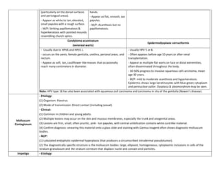 (particularly on the dorsal surfaces    hands.
               and periungual areas).                  - Appear as flat, smooth, tan
               - Appear as white to tan, elevated,     papules.
               small papules with a rough surface.     - M/P: Acanthosis but no
               - M/P: Striking papillomatosis &        papillomatosis.
               hyperkeratosis with pointed mounds
               resembling church spires.
                                     Condyloma acuminatum
                                                                                                       Epidermodysplasia verruciformis
                                        (venereal warts)
               - Usually due to HPV6 and HPV11.                                        - Usually HPV 5 or 8.
               - occurs on the penis, female genitalia, urethra, perianal areas, and   - Often appears before age 10 years or after renal
               rectum.                                                                 transplantation.
               - Appear as soft, tan, cauliflower-like masses that occasionally        - Appear as multiple flat warts on face or distal extremities,
               reach many centimeters in diameter.                                     often disseminated throughout the body.
                                                                                       - 30-50% progress to invasive squamous cell carcinoma, mean
                                                                                       age 30 years.
                                                                                       - M/P: mild to moderate acanthosis and hyperkeratosis.
                                                                                       Epidermis shows large keratinocytes with blue-green cytoplasm
                                                                                       and perinuclear pallor. Dysplasia & pleomorphism may be seen.
              Note: HPV type 16 has also been associated with squamous cell carcinoma and carcinoma in situ of the genitalia (Bowen’s disease).
              - Etiology:
              (1) Organism: Poxvirus.
              (2) Mode of transmission: Direct contact (including sexual).
              - Clinical:
              (1) Common in children and young adults.
              (2) Multiple lesions may occur on the skin and mucous membranes, especially the trunk and anogenital areas.
 Molluscum
Contagiosum   (3) Lesions are firm, small, often pruritic, pink - tan papules, with central umbilication contains white curd-like material.
              (4) Confirm diagnosis: smearing this material onto a glass slide and staining with Giemsa reagent often shows diagnostic molluscum
              bodies.
              - M/P:
              (1) Lobulated endophytic epidermal hyperplasia (that produces a circumscribed intradermal pseudotumor).
              (2) The diagnostically specific structure is the molluscum bodies: large, ellipsoid, homogeneous, cytoplasmic inclusions in cells of the
              stratum granulosum and the stratum corneum that displace nuclei and contain viral particles.
 Impetigo     - Etiology:
 
