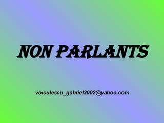 Non Parlants [email_address] 
