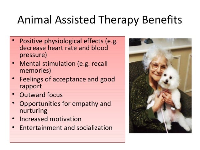 benefits of animal assisted therapy Research paper approval animal-assisted therapy: benefits and implications for professionals in the field of rehabilitation by amanda m mangalavite. benefits of animal assisted therapy Research paper approval animal-assisted therapy: benefits and implications for professionals in the field of rehabilitation by amanda m mangalavite.