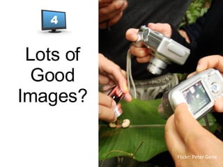 Lots of Good Images? Flickr: Peter Gene 