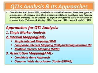 QTLs Analysis & Its Approaches
• Quantitative trait locus (QTL) analysis: a statistical method links two types of
information—phenotypic data (trait measurements) and genotypic data (usually
molecular markers)—in an attempt to explain the genetic basis of variation in
complex traits (Falconer & Mackay, 1996; Kearsey, 1998; Lynch & Walsh, 1998).
Approaches for QTL Analysis:
1. Single Marker Analysis
2. Interval Mapping(IM):-
 Simple Interval Mapping (SIM)
 Composite Interval Mapping (CIM)-Including Inclusive IM
 Multiple Interval Mapping (MIM)
3. Association Mapping(AM):-
 Candidate Gene Approach
 Genome Wide Association Studies(GWAS)
 