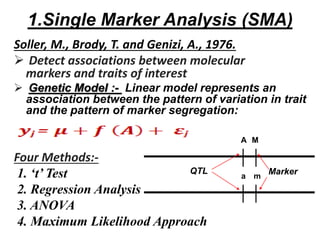 1.Single Marker Analysis (SMA)
Soller, M., Brody, T. and Genizi, A., 1976.
 Detect associations between molecular
markers and traits of interest
 Genetic Model :- Linear model represents an
association between the pattern of variation in trait
and the pattern of marker segregation:
Four Methods:-
1. ‘t’ Test
2. Regression Analysis
3. ANOVA
4. Maximum Likelihood Approach
A
a
M
m
QTL Marker
 