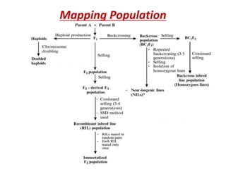 Mapping Population
 