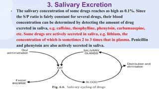 Non renal routes of excretion For pharmacy students | PPTX