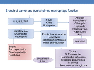 Breech of barrier and overwhelmed macrophage function
IL 1, IL 8, TNF
Capillary leak
Erythrocytes
Neutrophils
Fever
Chills
Body pains
Purulent expectoration
Hemoptysis
Radiographic infiltrates
Rales on occultation
Edema
Red hepatization
Gray hepatization
Resolution
Atypical:
Mycoplasma
Chlamydia
Legionella
Influenza virus
Adenovirus
RSV
Typical:
S. Pneumoniae
Heamophilus influenzae
Klebsiella pneumoniae
S. aureus
Pseudomonas aeruginosa
Lobar/multi
lobar
Interstitial
 