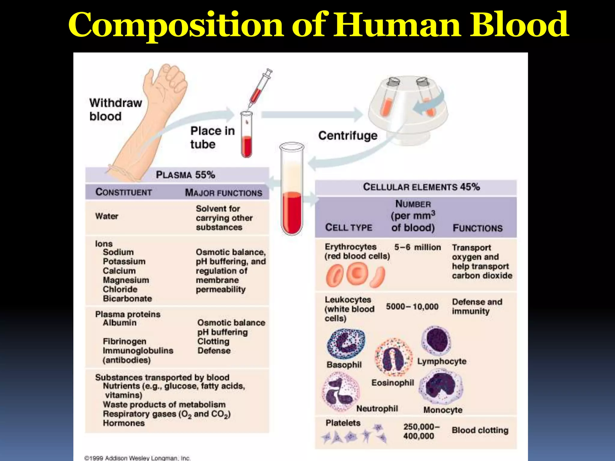 Composition of Human Blood
 