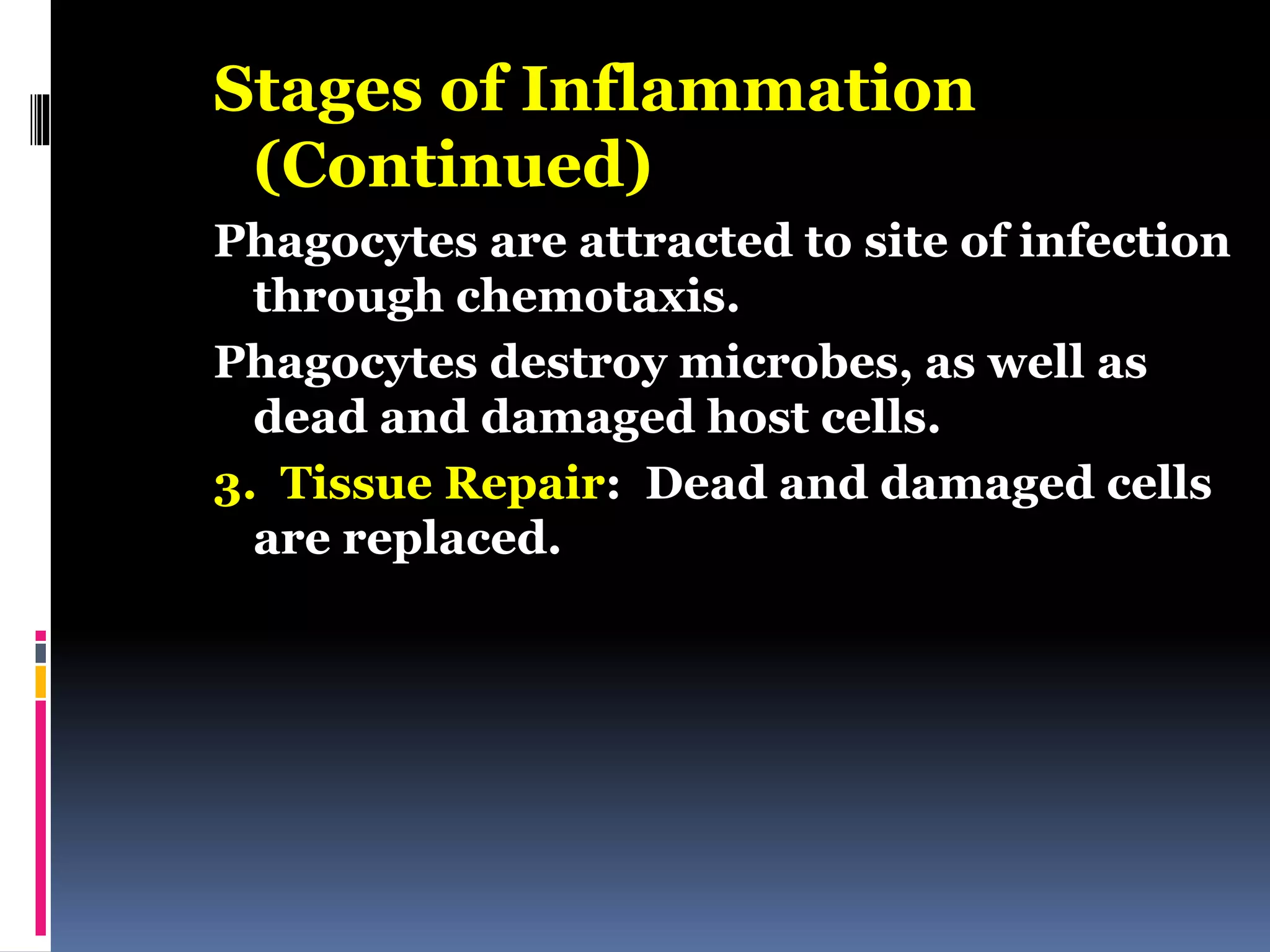 Stages of Inflammation
(Continued)
Phagocytes are attracted to site of infection
through chemotaxis.
Phagocytes destroy microbes, as well as
dead and damaged host cells.
3. Tissue Repair: Dead and damaged cells
are replaced.
 