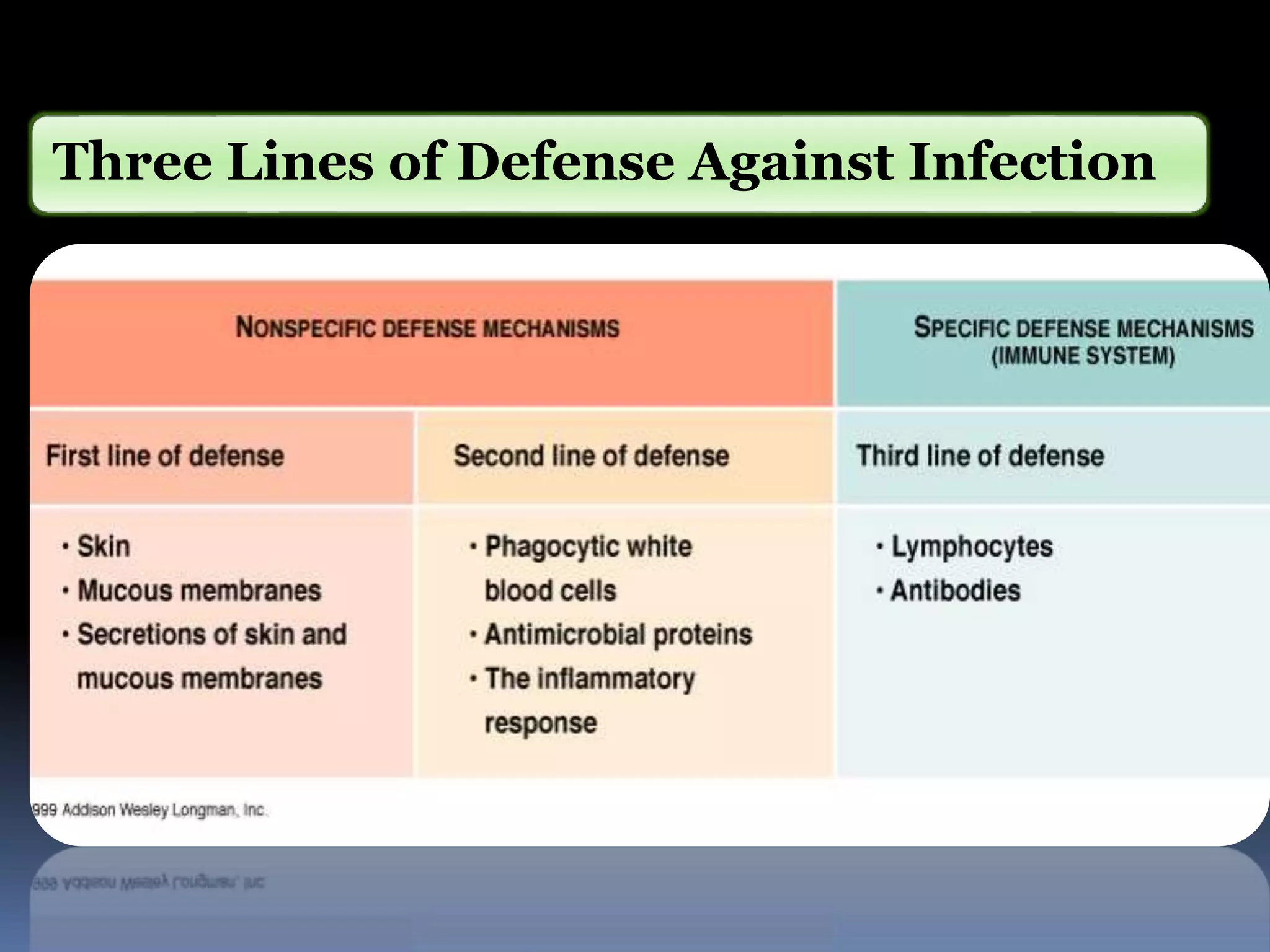 Three Lines of Defense Against Infection
 