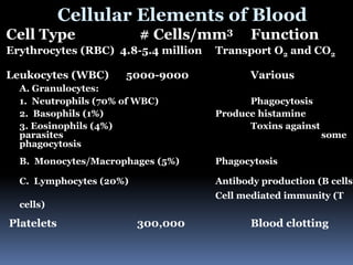 Cellular Elements of Blood
Cell Type # Cells/mm3 Function
Erythrocytes (RBC) 4.8-5.4 million Transport O2 and CO2
Leukocytes (WBC) 5000-9000 Various
A. Granulocytes:
1. Neutrophils (70% of WBC) Phagocytosis
2. Basophils (1%) Produce histamine
3. Eosinophils (4%) Toxins against
parasites some
phagocytosis
B. Monocytes/Macrophages (5%) Phagocytosis
C. Lymphocytes (20%) Antibody production (B cells)
Cell mediated immunity (T
cells)
Platelets 300,000 Blood clotting
 