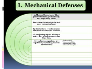 2. Mucous Membranes: Line
gastrointestinal, genitourinary,
and respiratory tracts.
Two layers: Outer epithelial and
inner connective layer.
Epithelial layer secretes mucus
which maintains moist surfaces.
Although they inhibit microbial
entry, they offer less protection
than skin.
Several microorganisms are
capable of penetrating mucous
membranes:
•Papillomavirus
•Treponema pallidum
•Enteroinvasive E. coli
•Entamoeba histolytica
I. Mechanical Defenses
 