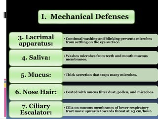 • Continual washing and blinking prevents microbes
from settling on the eye surface.
3. Lacrimal
apparatus:
• Washes microbes from teeth and mouth mucous
membranes.4. Saliva:
• Thick secretion that traps many microbes.5. Mucus:
• Coated with mucus filter dust, pollen, and microbes.6. Nose Hair:
• Cilia on mucous membranes of lower respiratory
tract move upwards towards throat at 1-3 cm/hour.
7. Ciliary
Escalator:
I. Mechanical Defenses
 
