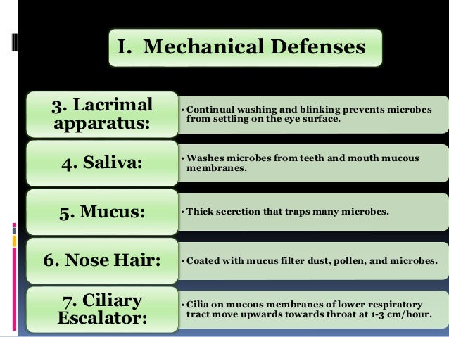non specific immune response