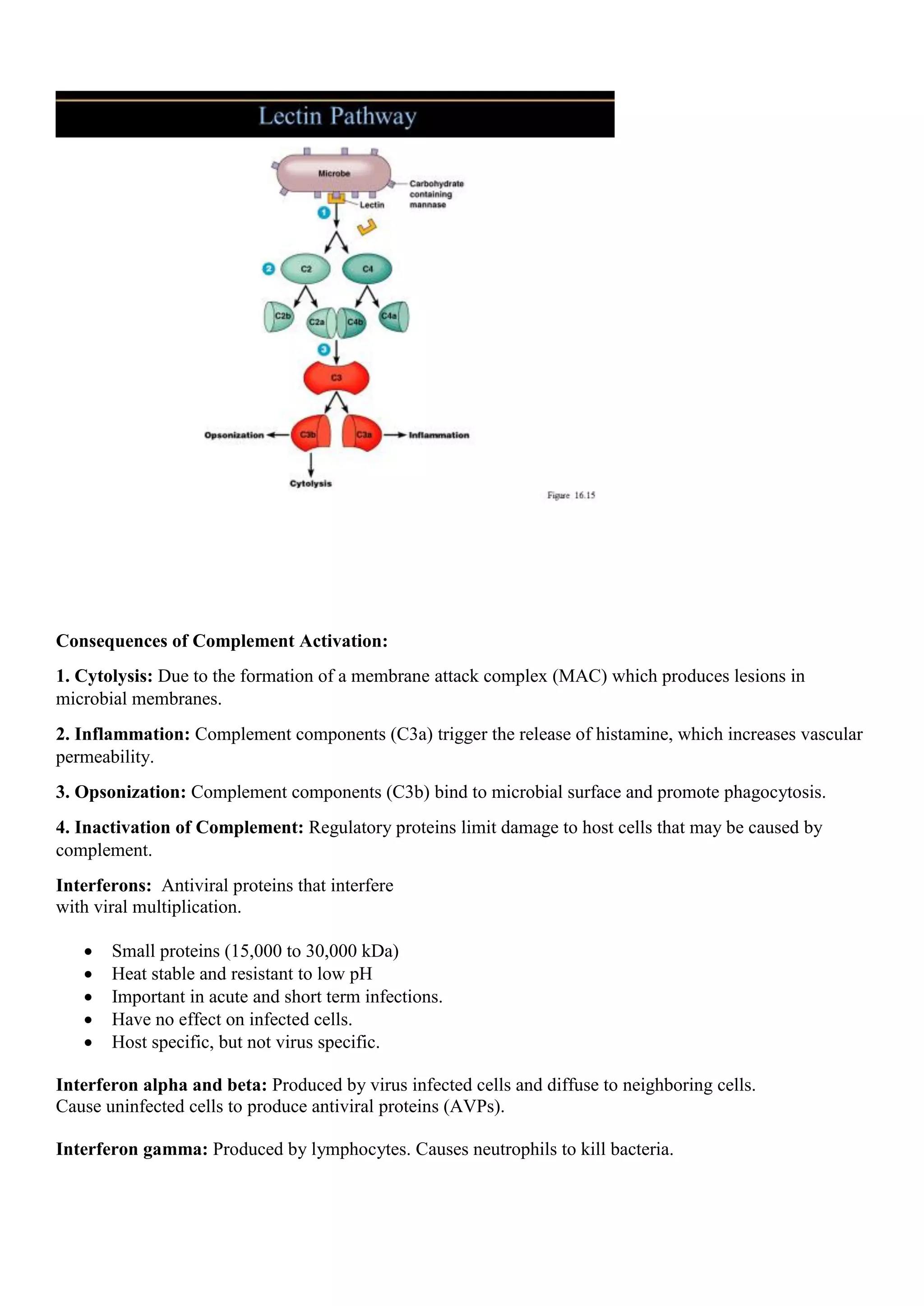 Consequences of Complement Activation:
1. Cytolysis: Due to the formation of a membrane attack complex (MAC) which produces lesions in
microbial membranes.
2. Inflammation: Complement components (C3a) trigger the release of histamine, which increases vascular
permeability.
3. Opsonization: Complement components (C3b) bind to microbial surface and promote phagocytosis.
4. Inactivation of Complement: Regulatory proteins limit damage to host cells that may be caused by
complement.
Interferons: Antiviral proteins that interfere
with viral multiplication.
 Small proteins (15,000 to 30,000 kDa)
 Heat stable and resistant to low pH
 Important in acute and short term infections.
 Have no effect on infected cells.
 Host specific, but not virus specific.
Interferon alpha and beta: Produced by virus infected cells and diffuse to neighboring cells.
Cause uninfected cells to produce antiviral proteins (AVPs).
Interferon gamma: Produced by lymphocytes. Causes neutrophils to kill bacteria.
 