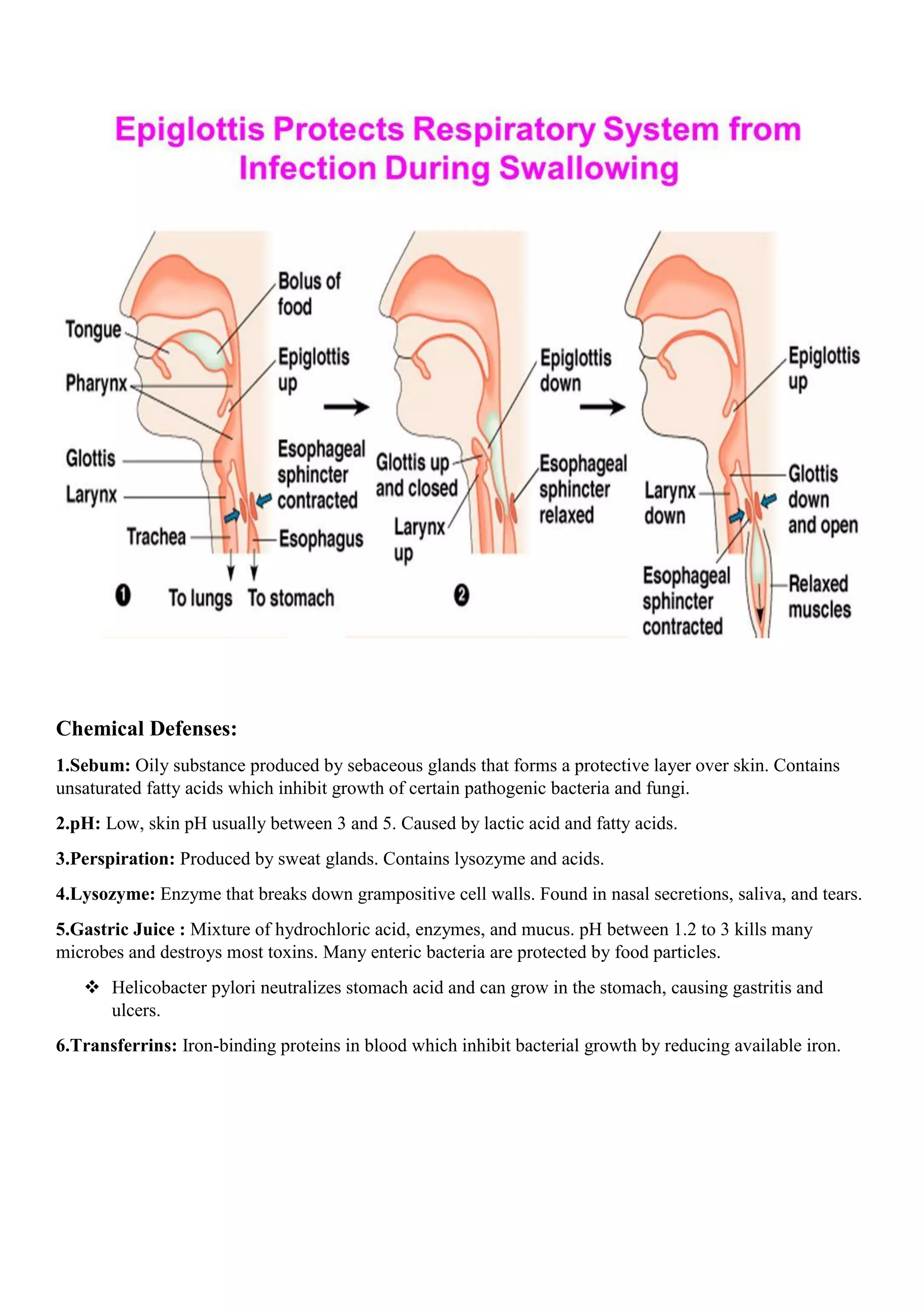 Chemical Defenses:
1.Sebum: Oily substance produced by sebaceous glands that forms a protective layer over skin. Contains
unsaturated fatty acids which inhibit growth of certain pathogenic bacteria and fungi.
2.pH: Low, skin pH usually between 3 and 5. Caused by lactic acid and fatty acids.
3.Perspiration: Produced by sweat glands. Contains lysozyme and acids.
4.Lysozyme: Enzyme that breaks down grampositive cell walls. Found in nasal secretions, saliva, and tears.
5.Gastric Juice : Mixture of hydrochloric acid, enzymes, and mucus. pH between 1.2 to 3 kills many
microbes and destroys most toxins. Many enteric bacteria are protected by food particles.
 Helicobacter pylori neutralizes stomach acid and can grow in the stomach, causing gastritis and
ulcers.
6.Transferrins: Iron-binding proteins in blood which inhibit bacterial growth by reducing available iron.
 