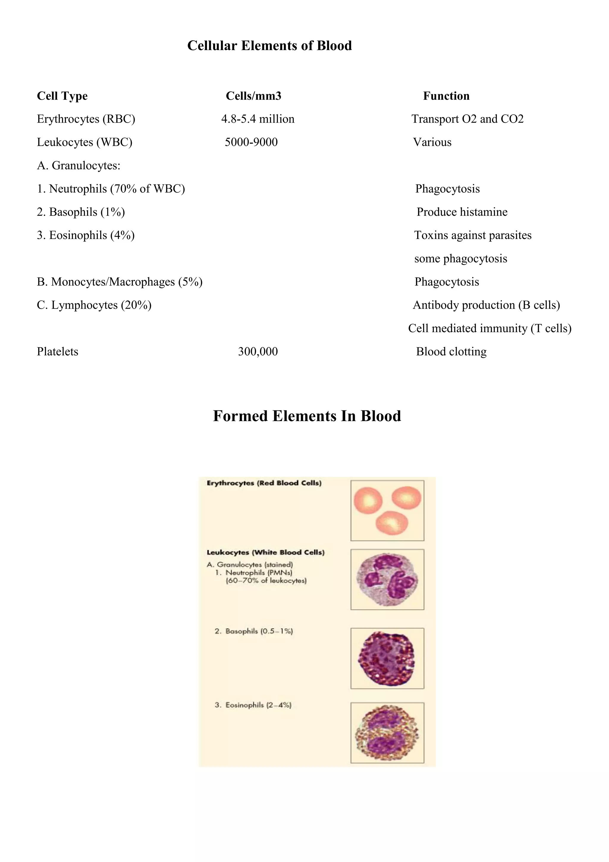 Cellular Elements of Blood
Cell Type Cells/mm3 Function
Erythrocytes (RBC) 4.8-5.4 million Transport O2 and CO2
Leukocytes (WBC) 5000-9000 Various
A. Granulocytes:
1. Neutrophils (70% of WBC) Phagocytosis
2. Basophils (1%) Produce histamine
3. Eosinophils (4%) Toxins against parasites
some phagocytosis
B. Monocytes/Macrophages (5%) Phagocytosis
C. Lymphocytes (20%) Antibody production (B cells)
Cell mediated immunity (T cells)
Platelets 300,000 Blood clotting
Formed Elements In Blood
 