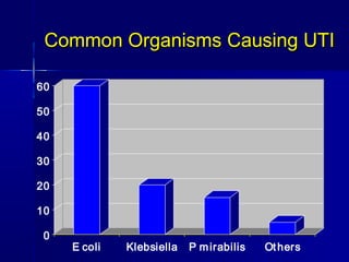 Common Organisms Causing UTICommon Organisms Causing UTI
0
10
20
30
40
50
60
E coli Klebsiella P mirabilis Others
 