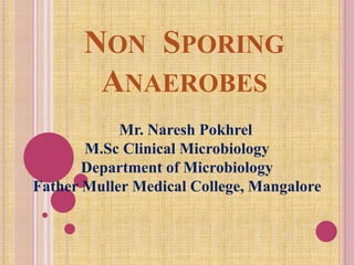NON SPORING
ANAEROBES
Mr. Naresh Pokhrel
M.Sc Clinical Microbiology
Department of Microbiology
Father Muller Medical College, Mangalore
 