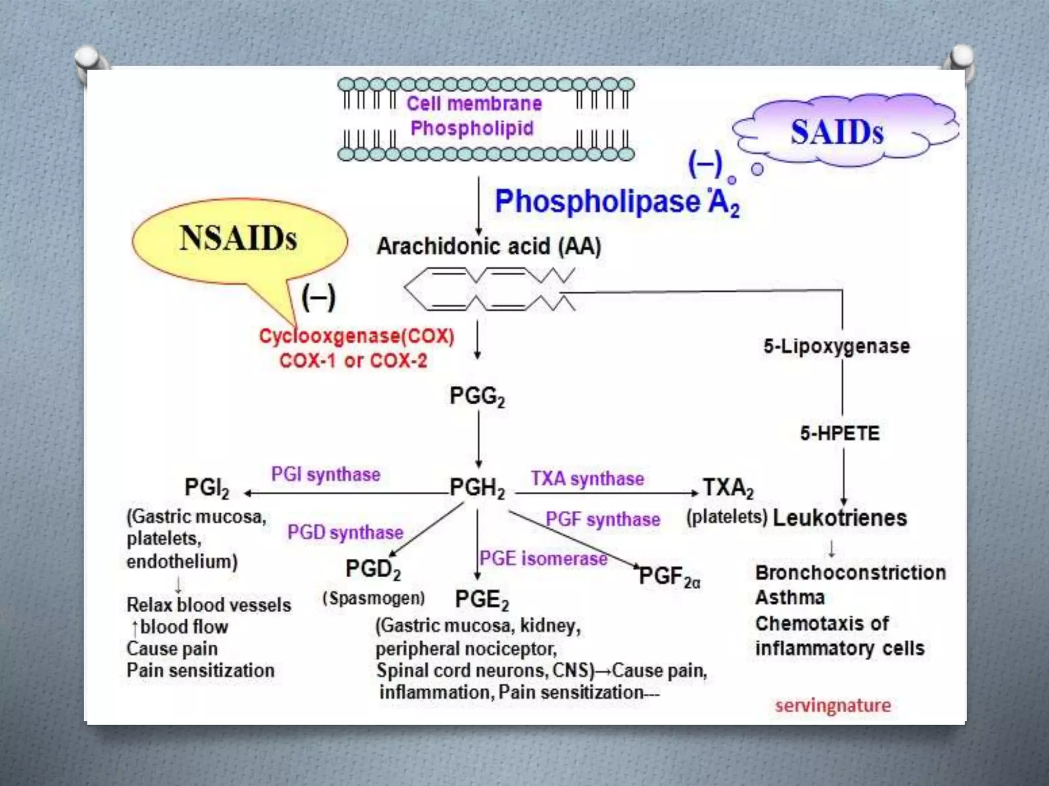 Non steroid anti inflammatory drug.pptx