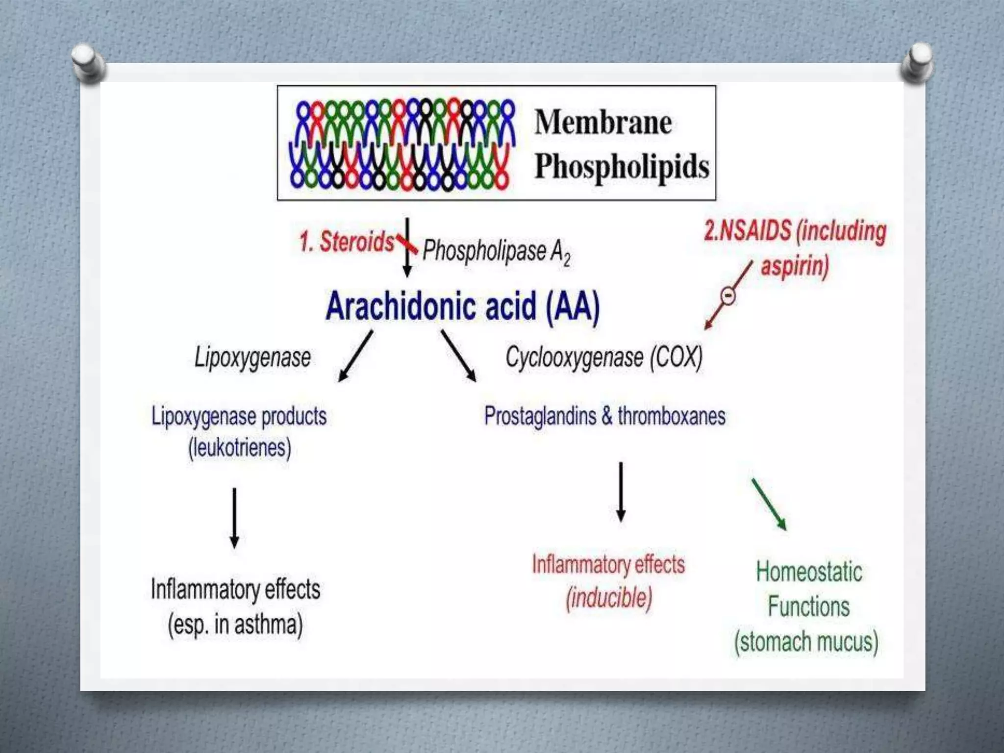 Non steroid anti inflammatory drug.pptx