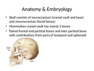 Anatomy & Embryology
• Skull consists of neurocranium (cranial vault and base)
and viscerocranium (facial bones)
• Mammalian cranial vault has mainly 5 bones
• Paired frontal and parietal bones and inter parietal bone
with contributions from parts of temporal and sphenoid
 