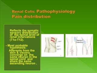 T12 Discribution Non traumatic emergencies | PPTX