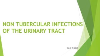 NON TUBERCULAR INFECTIONS
OF THE URINARY TRACT
DR N CHIRAG
 