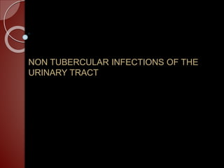 NON TUBERCULAR INFECTIONS OF THE
URINARY TRACT
 